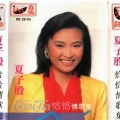 夏子殷 - 风中情