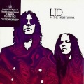 Lid - Window Pain