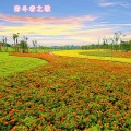 TONG刘通 - 奋斗者之歌