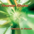 Ananda Shake - Old School