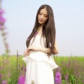 易灵汐 - 浩荡草原风