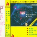 沈红 - 情若无花不结果