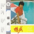 杨威 - 我爱你