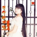 费娜百灵鸟 - 想你的滋味