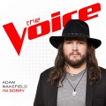 Adam Wakefield - I'm Sorry