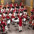 Wiener Johann Strauss Orchester - 春之声