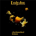 Ledy Joe - 風のように (沉醉于风中)