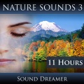 Sound Dreamer - River and Bird Sounds