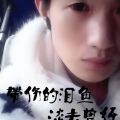 鱼先声 - 淡去曾经