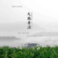 徐鲤 - 茶路