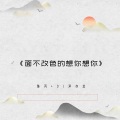陈丙、泽亦龙 - 十七岁