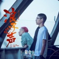 王锵、曹瑞 - 浪子心声
