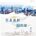 苏小帆 - 你是我的避风港