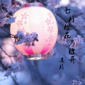 凌月 - 七月樱花为你开