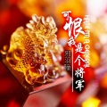 邪羽瞳 - 可恨我是个将军