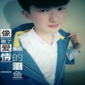 鱼先声 - 像极了爱情