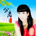 赵红军 - 分离