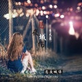 李天豪 - 悲夜城伤