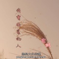 宏彬 - 一生有你的陪伴