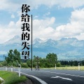 陈兴凡 - 你给我的失望