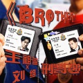 王祖蓝、刘维 - Brother