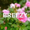 Lil Peep - Breezy (VIDEO IN DESCRIPTION)