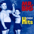 Mr.Big - Goin Where The Wind Blows