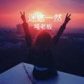 嘎老板 - 漫步人生路