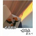 抓鸭子、苏同学 - 领域