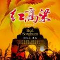 Opening Title of Red Sorghum