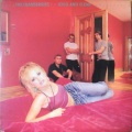 The Cranberries - Liar (Live From Dreams)