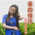 风语 - 分手的痛