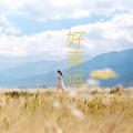 刘佳欣 - 好幸运