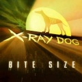 X-Ray Dog - Panorama (Edit)