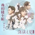 罗震环 - 我们能不能