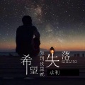 希望你到夜里就失落 (DJ版)