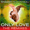 Shaggy、Pitbull、Gene Noble - Only Love