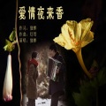 独醉 - 爱情夜来香