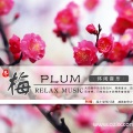 群星 - 左右为难