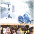 大爱人间5 幸福的青鸟