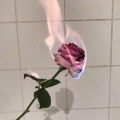 rosy - Kiss It Make It Better