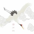 晓月老板 - 临江仙
