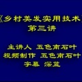 五色石南叶 - 洗剪吹和焗染烫