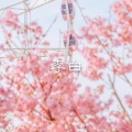 大飞 - 流星雨又来临