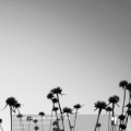 Fabrizio Paterlini - Forever Blue
