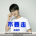 沈旭升 - 不要走