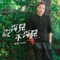 张海 - 说再见不再见