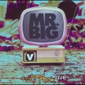 Mr.Big - To Be With You (live)