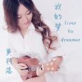 豹豹 - 我的梦 Liver To Dreamer