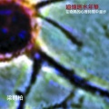 梁翘柏 - 追梦